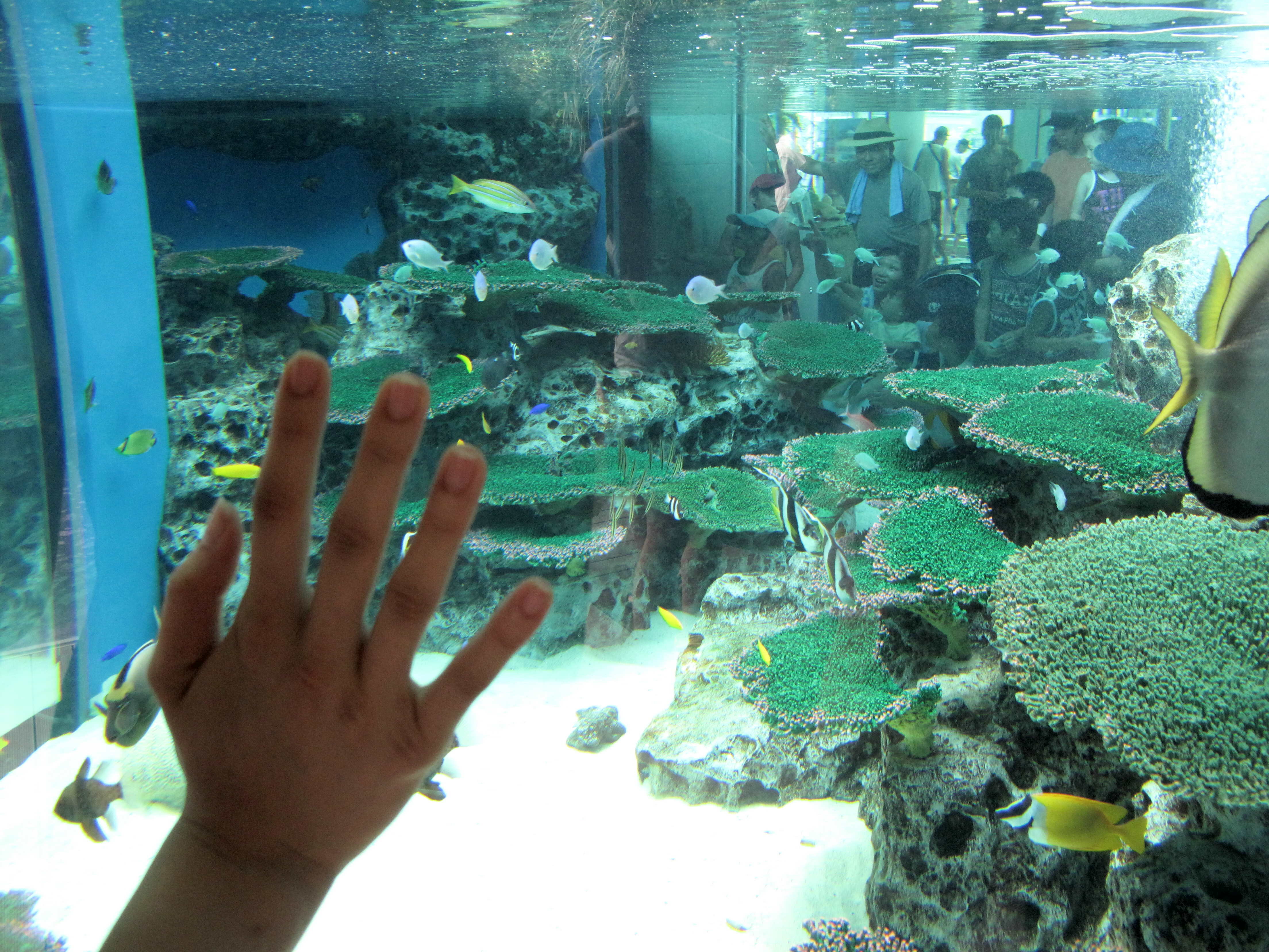 娘と一緒 なかがわ水遊園 月の砂漠をはるばると